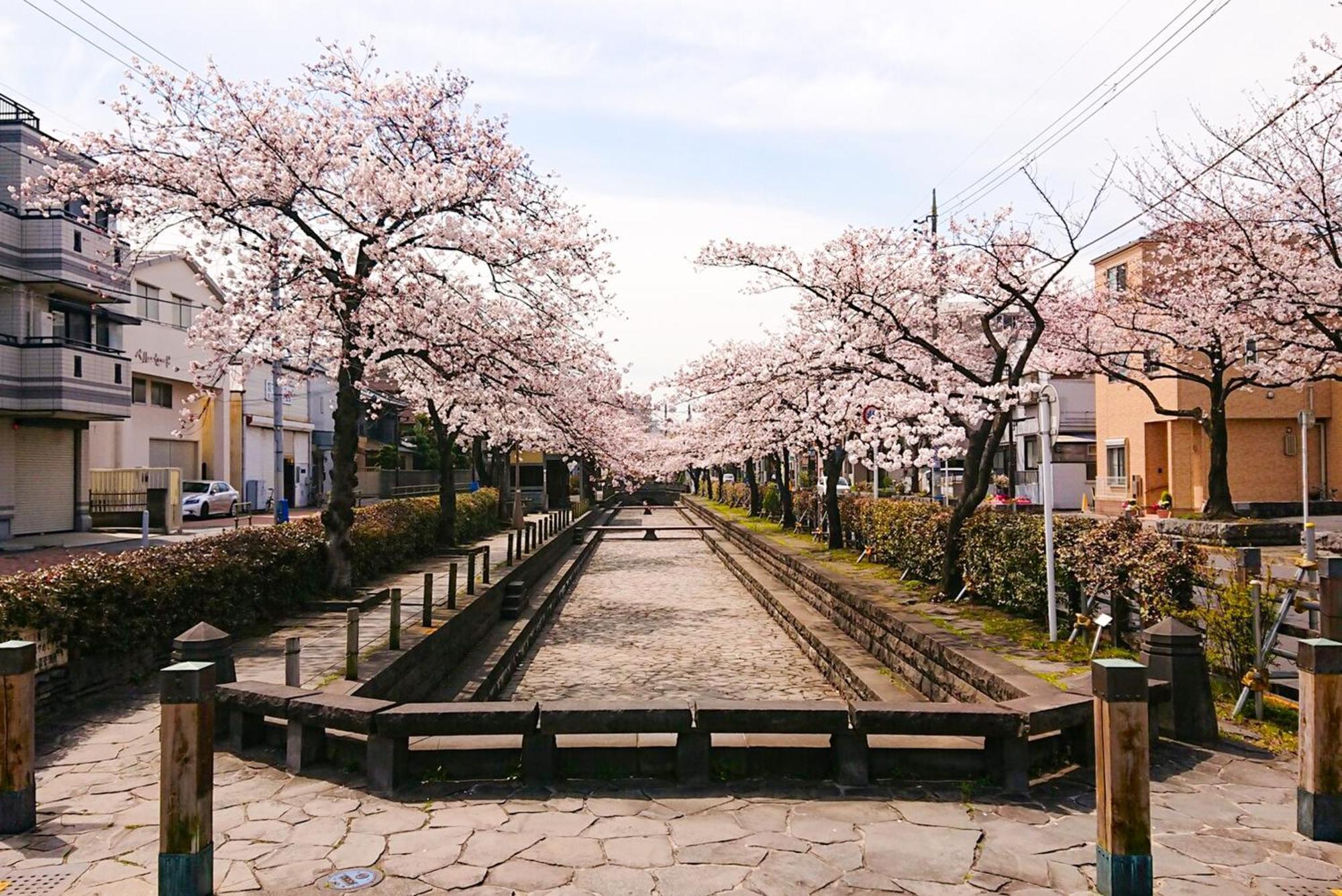 Appartamento Sc Heights 103 Tokyo Esterno foto