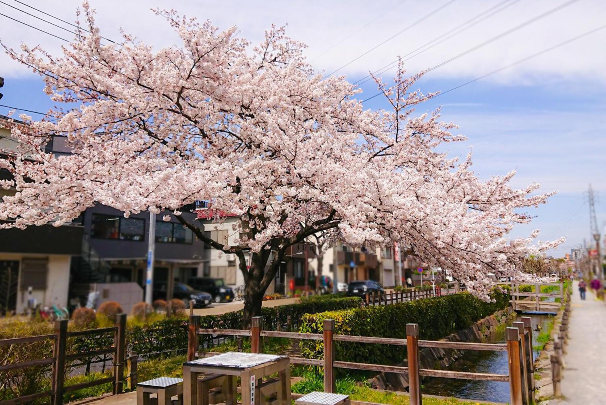 Appartamento Sc Heights 103 Tokyo Esterno foto